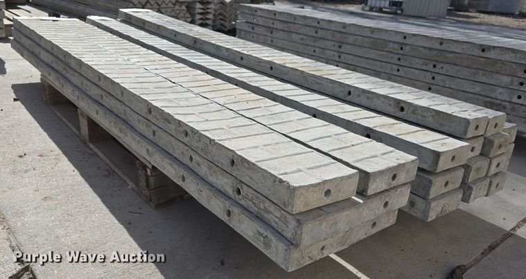 image for item EH8792 (20) concrete wall forms