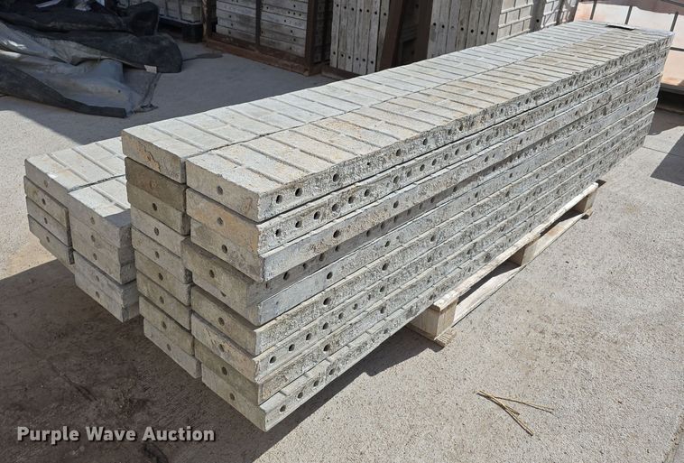 image for item EH8793 (28) concrete wall forms