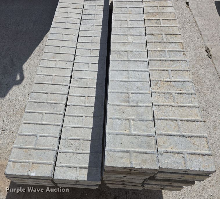 image for item EH8793 (28) concrete wall forms