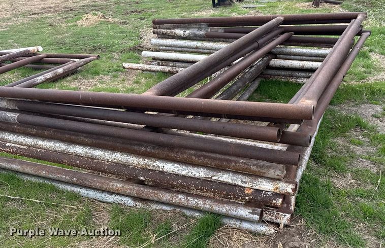 image for item EG6296 Approximately 17 H braces