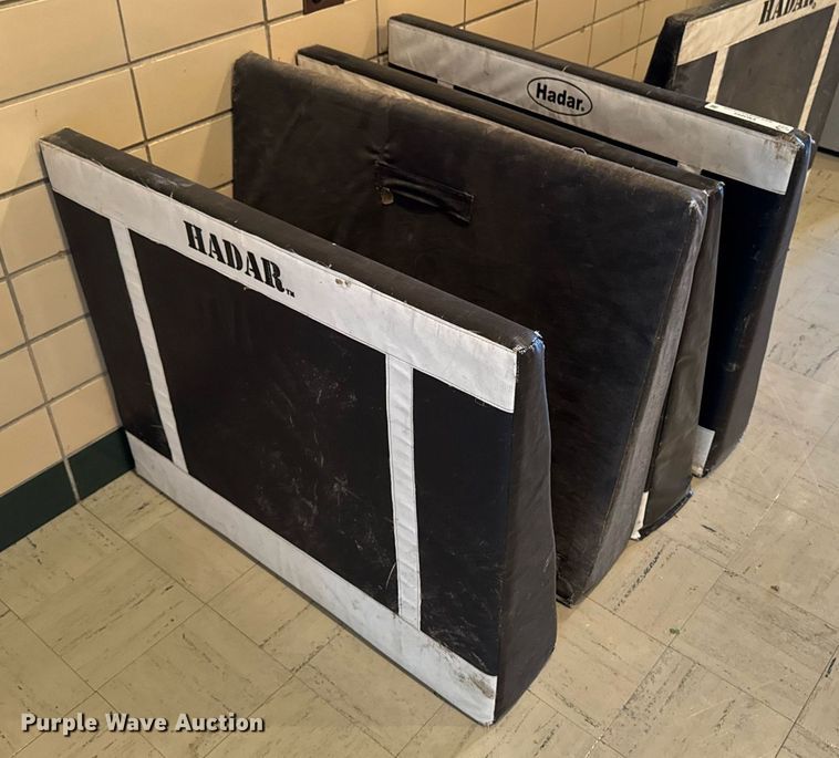 image for item EM3894 (5) Hadar practice hurdles