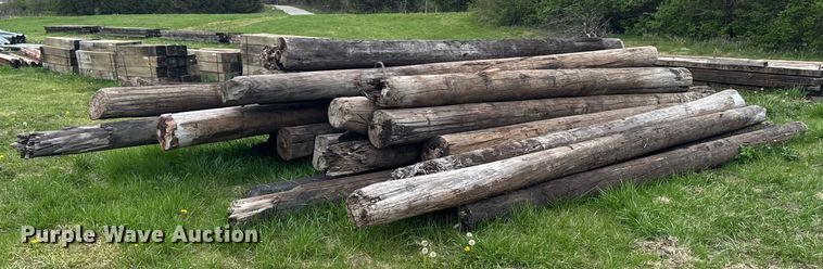 image for item DT0726 Approximately 40 poles