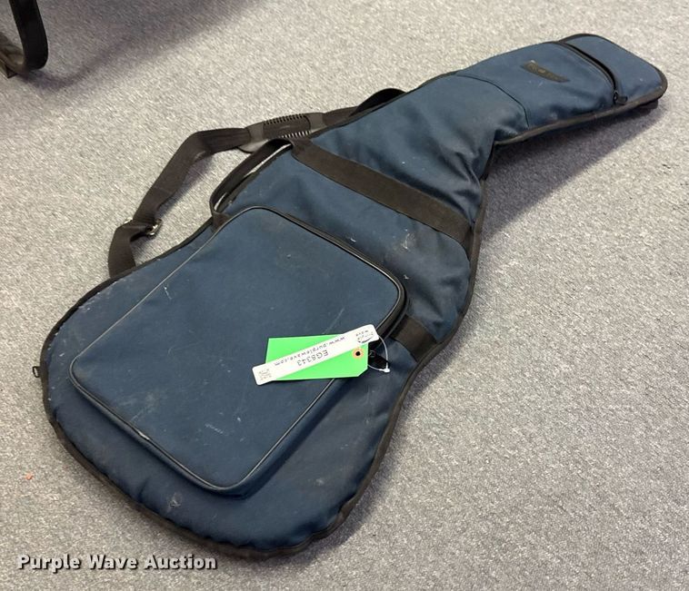 image for item EG8343 Pro Tec International guitar case