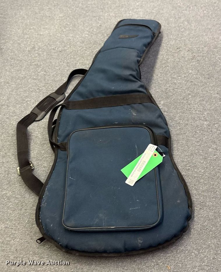 image for item EG8343 Pro Tec International guitar case