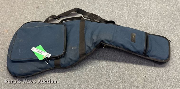 image for item EG8343 Pro Tec International guitar case