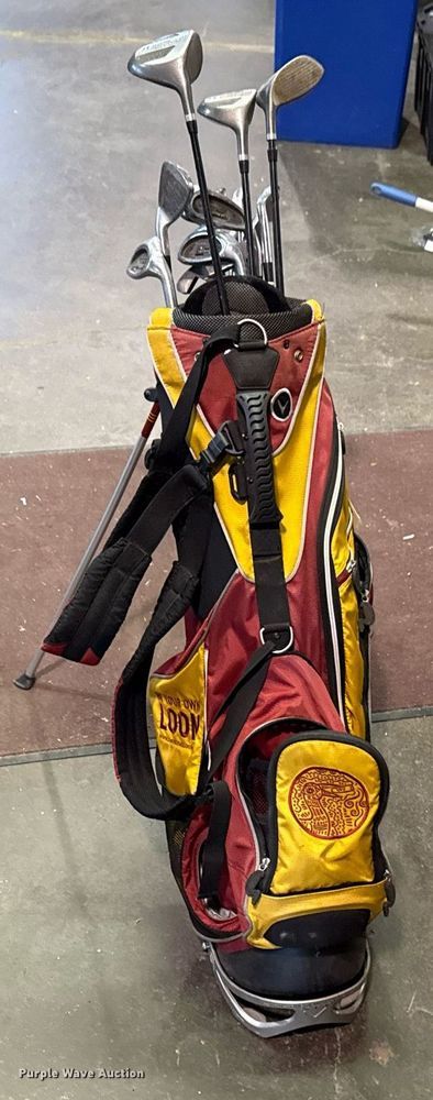 image for item EG8393 Set of golf clubs