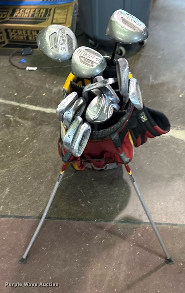 image for item EG8393 Set of golf clubs