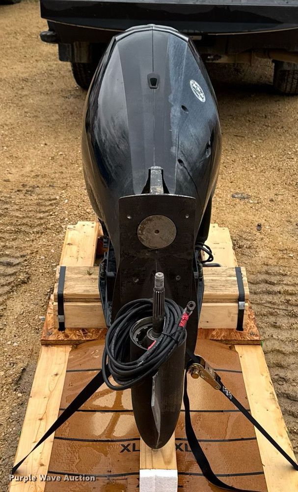 image for item EM3829 2021 Mercury 1115F632D engine