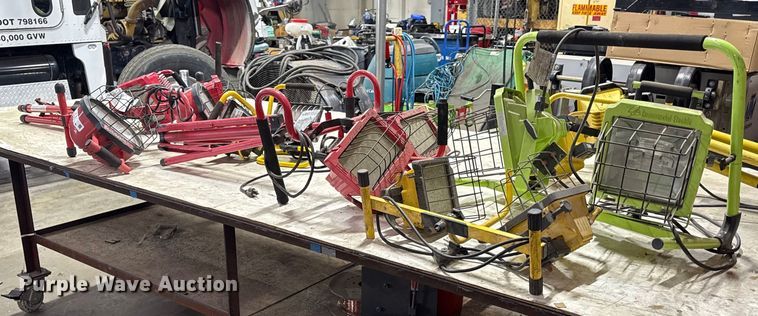 image for item DZ4054 (8) lights