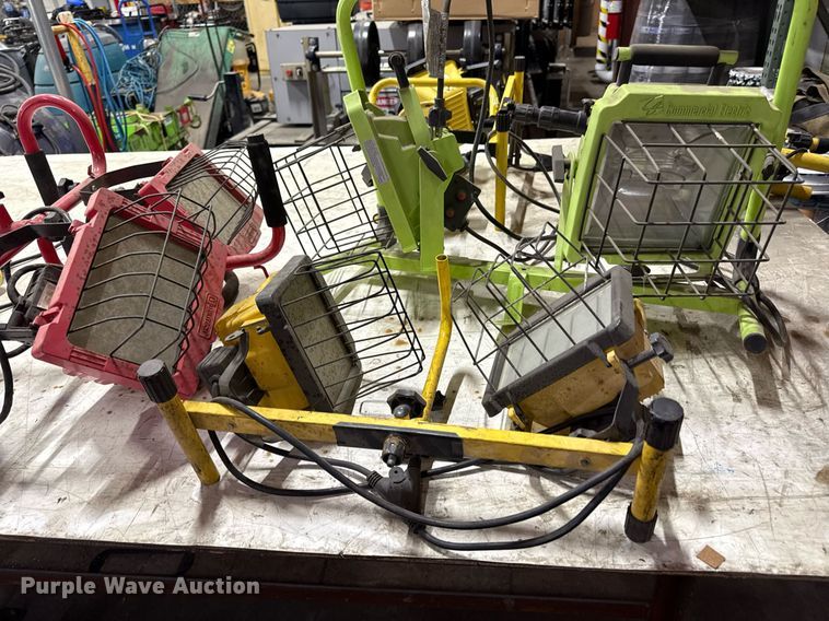 image for item DZ4054 (8) lights