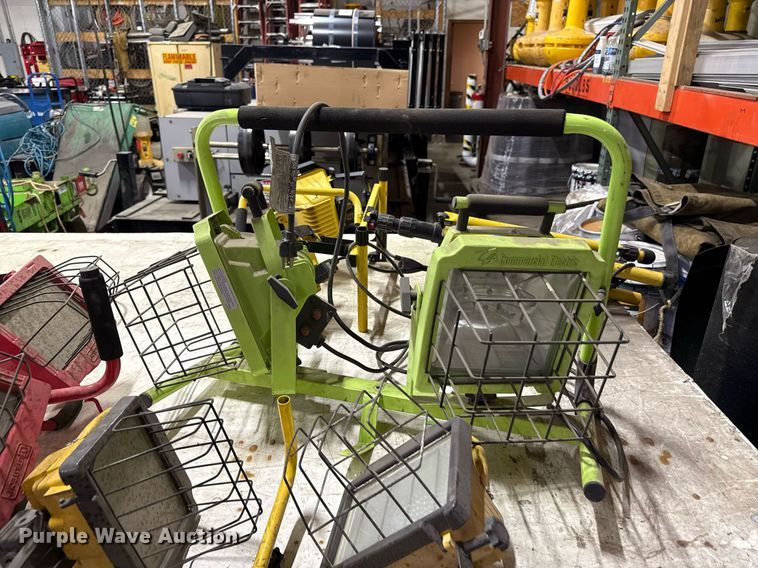 image for item DZ4054 (8) lights