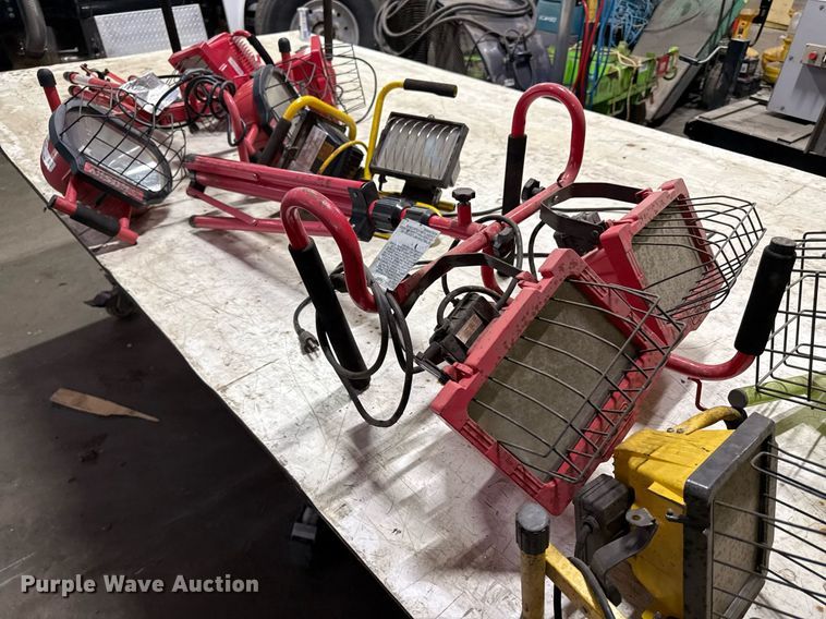 image for item DZ4054 (8) lights