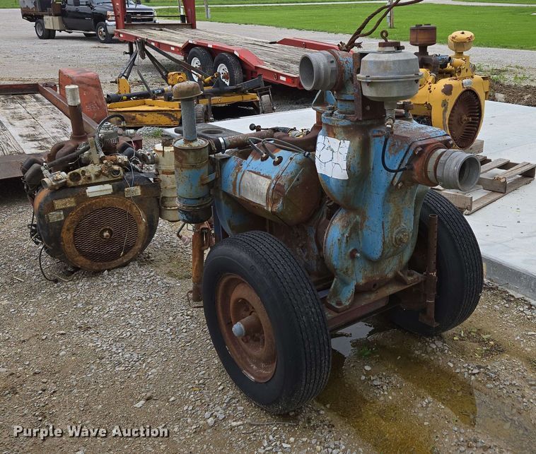 image for item EN3689 (2) pumps