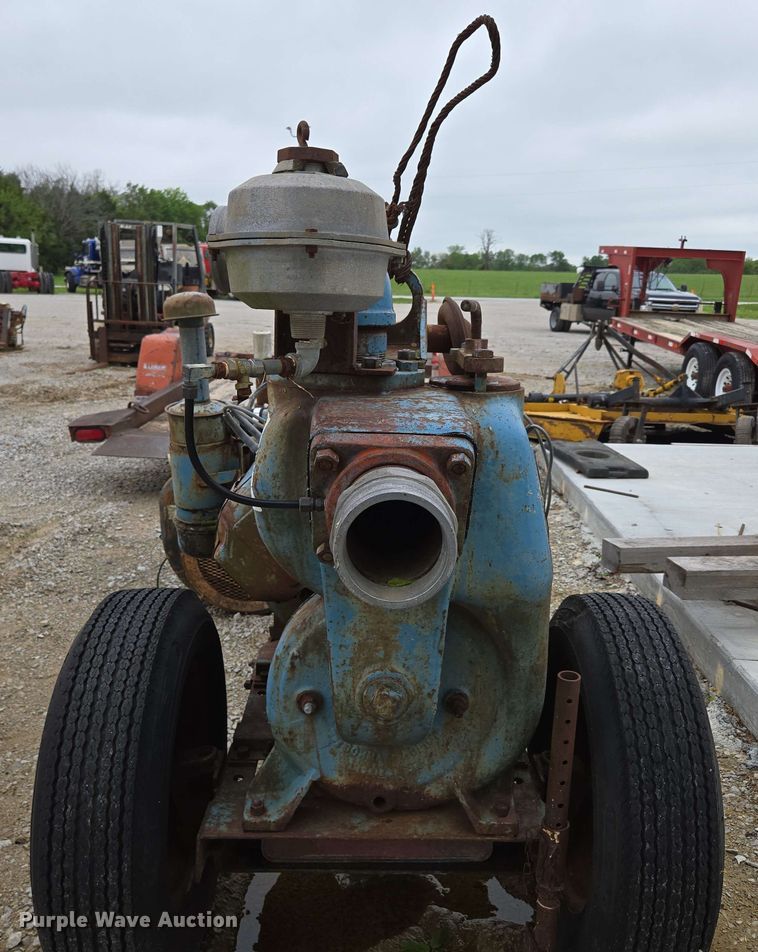 image for item EN3689 (2) pumps