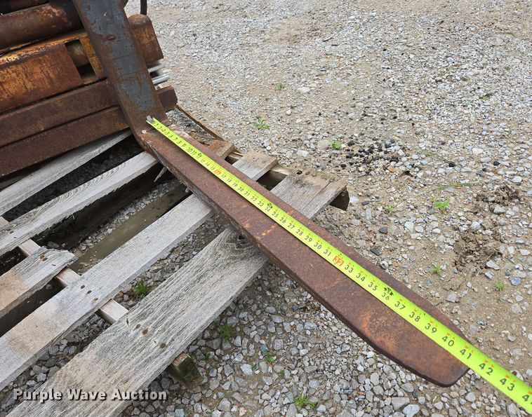 image for item EN3693 Forks