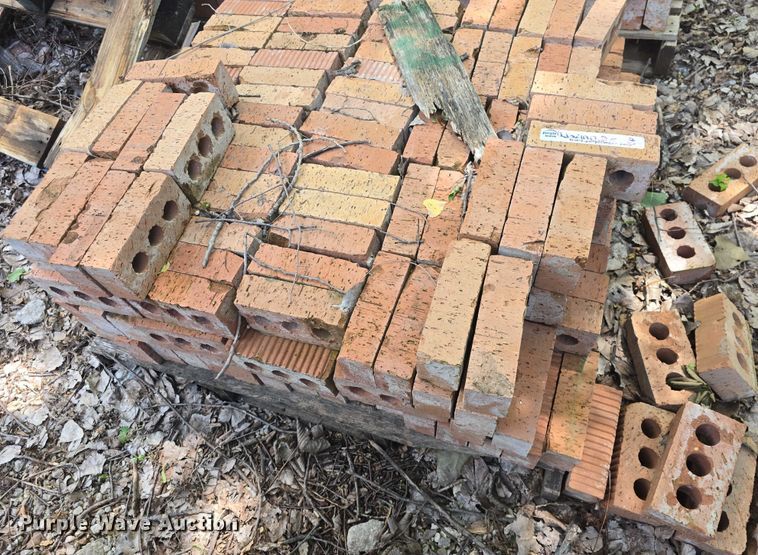 image for item EK5261 Approximately 500 bricks