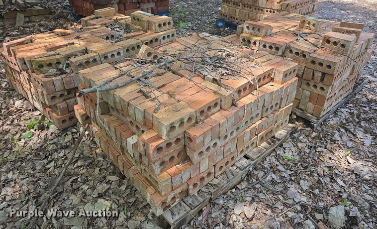 image for item EK5261 Approximately 500 bricks