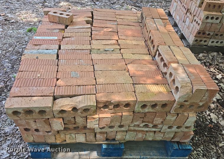 image for item EK5261 Approximately 500 bricks