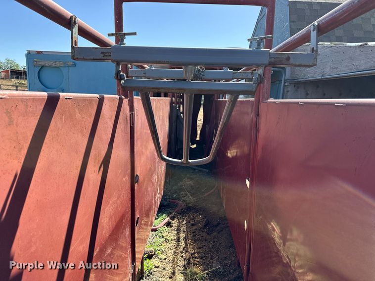 image for item IP9566 Livestock corral with palpation chute