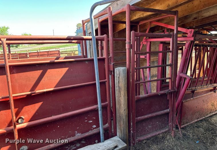 image for item IP9566 Livestock corral with palpation chute