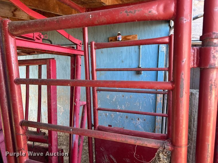 image for item IP9566 Livestock corral with palpation chute