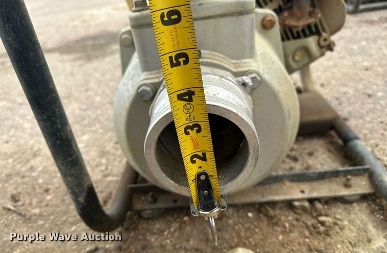 image for item EH0317 (4) trash pumps