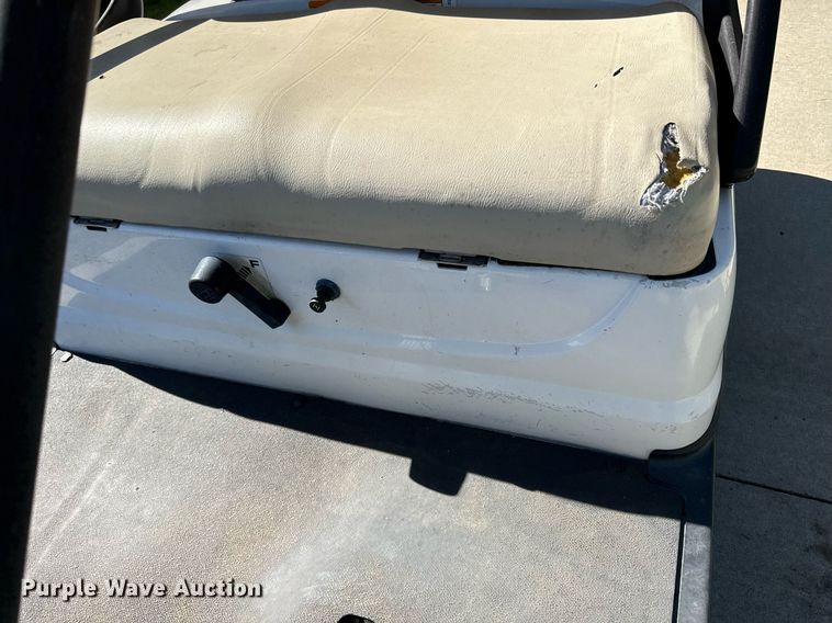 image for item DZ4162 2010 Yamaha YDRAX golf cart