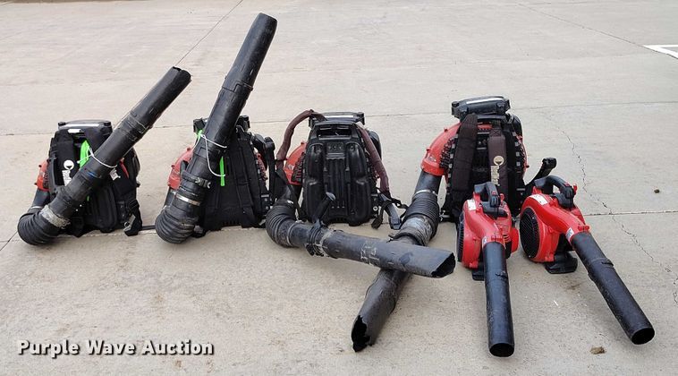 image for item IP9604 (6) RedMax leaf blowers