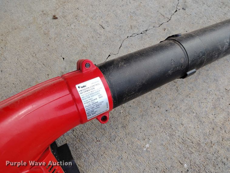 image for item IP9604 (6) RedMax leaf blowers