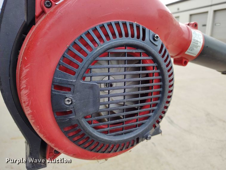 image for item IP9604 (6) RedMax leaf blowers