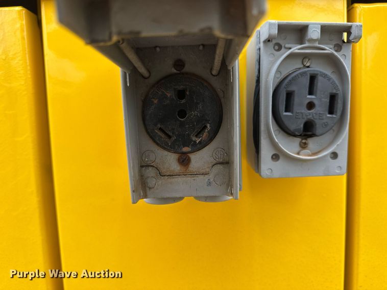 image for item DM5743 Boss light plant