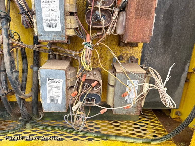 image for item DM5743 Boss light plant