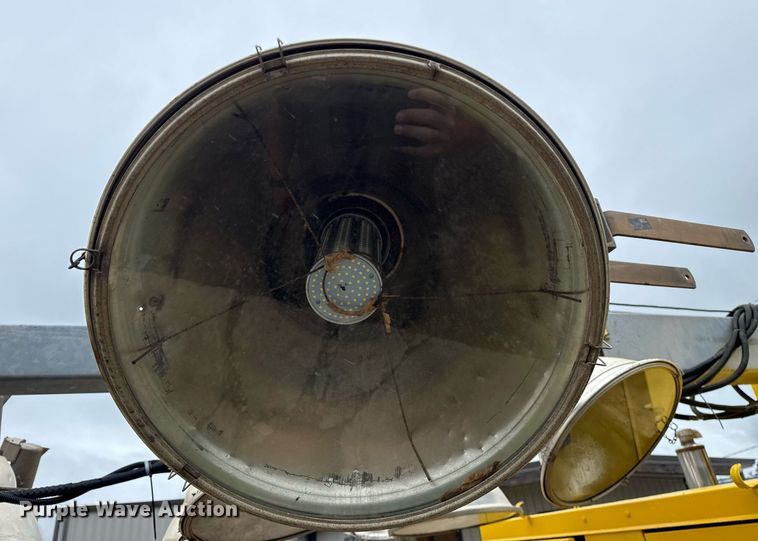 image for item DM5743 Boss light plant