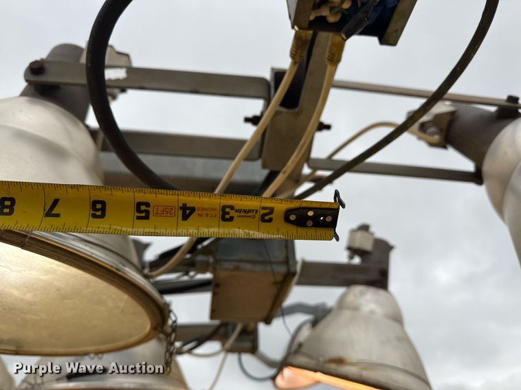 image for item DM5743 Boss light plant