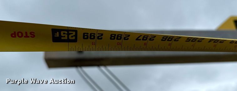 image for item DM5743 Boss light plant