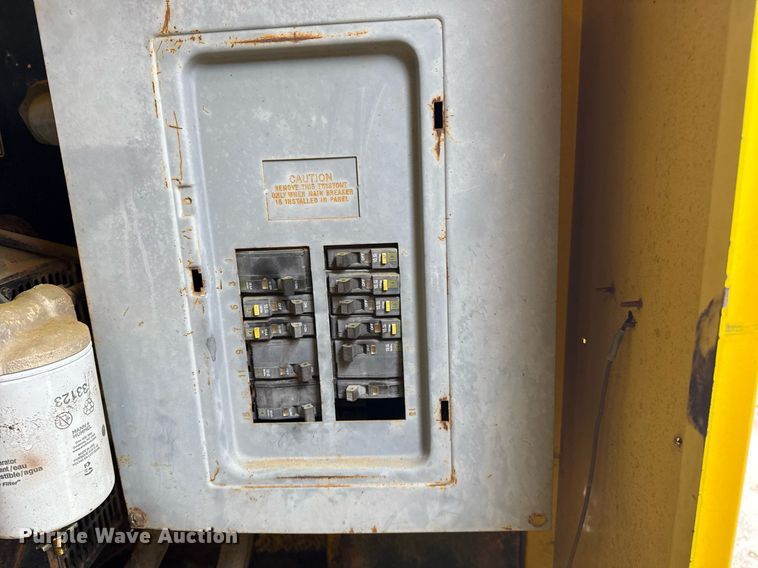 image for item DM5743 Boss light plant