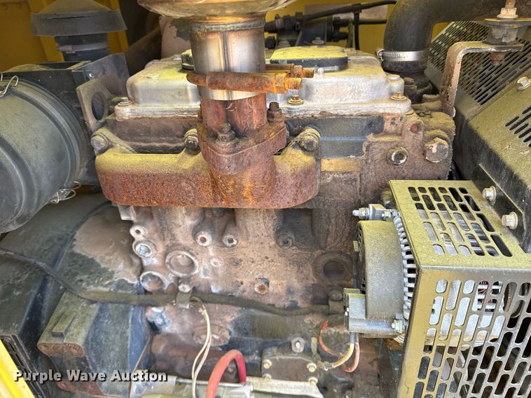 image for item DM5743 Boss light plant