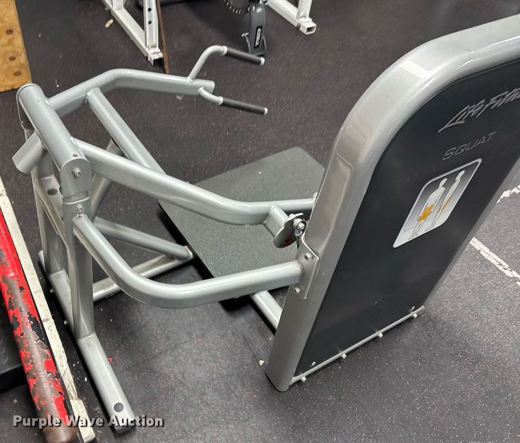 image for item DU9150 Life Fitness exercise equipment