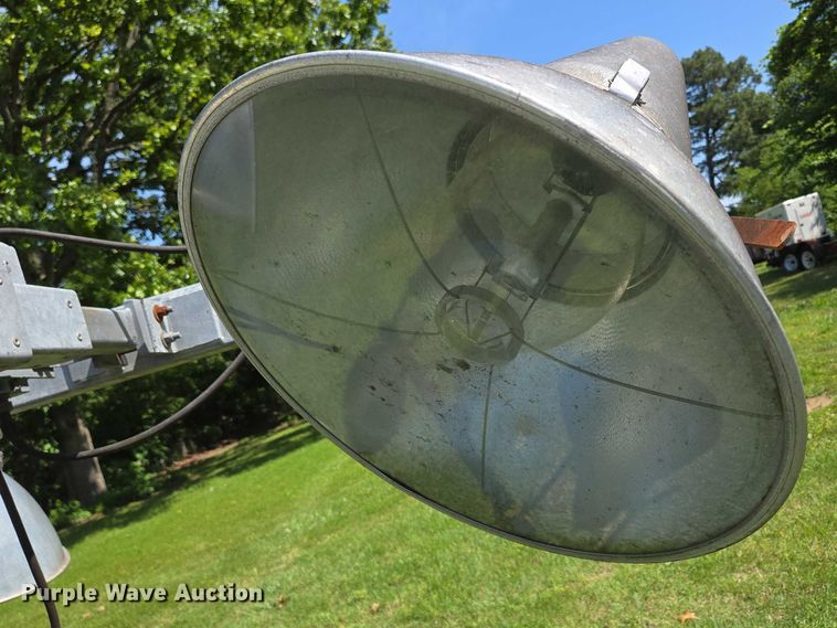 image for item EN3777 Amida AL4060D-4MH light plant