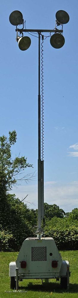 image for item EN3777 Amida AL4060D-4MH light plant