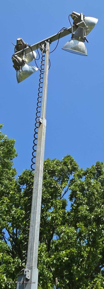 image for item EN3777 Amida AL4060D-4MH light plant