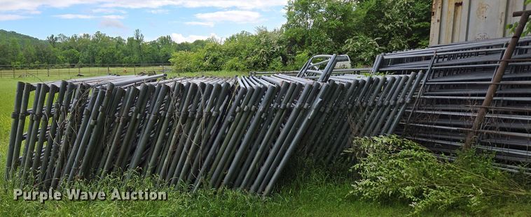 image for item EN3713 Livestock panels