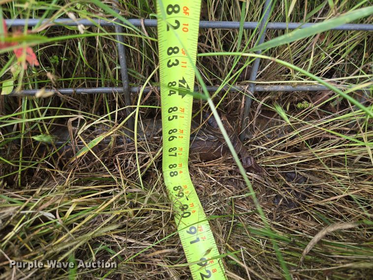 image for item EN3713 Livestock panels