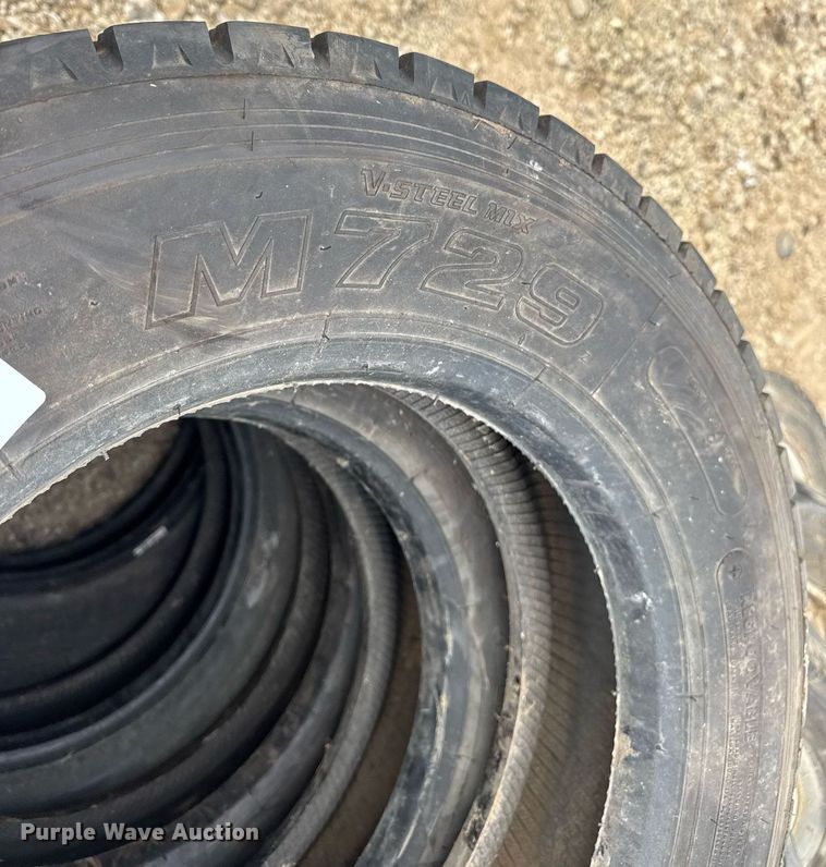 image for item DV4073 (10) 225/70R19.5 tires