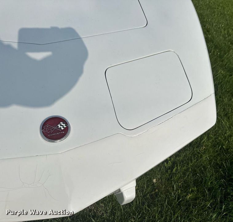 image for item DZ8989 1976 Chevrolet Corvette Stingray 