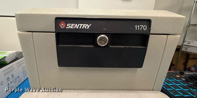image for item EG8538 (2) SentrySafe Fire-Safe safes 