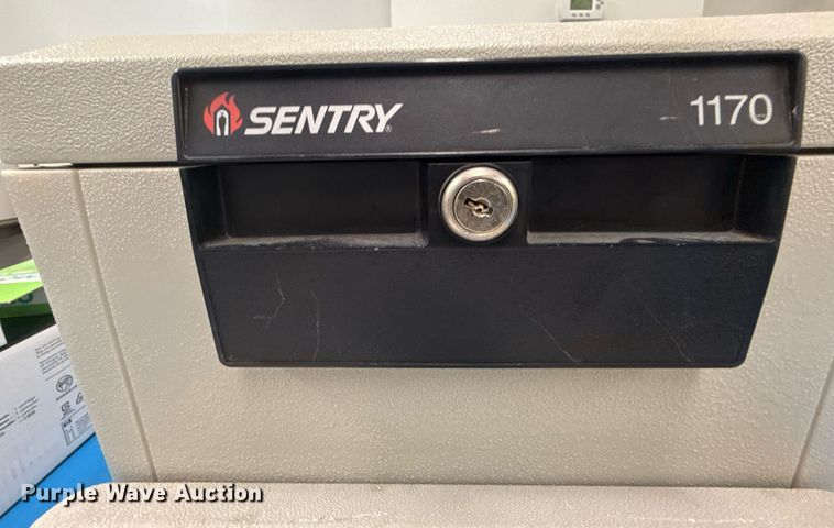 image for item EG8538 (2) SentrySafe Fire-Safe safes 