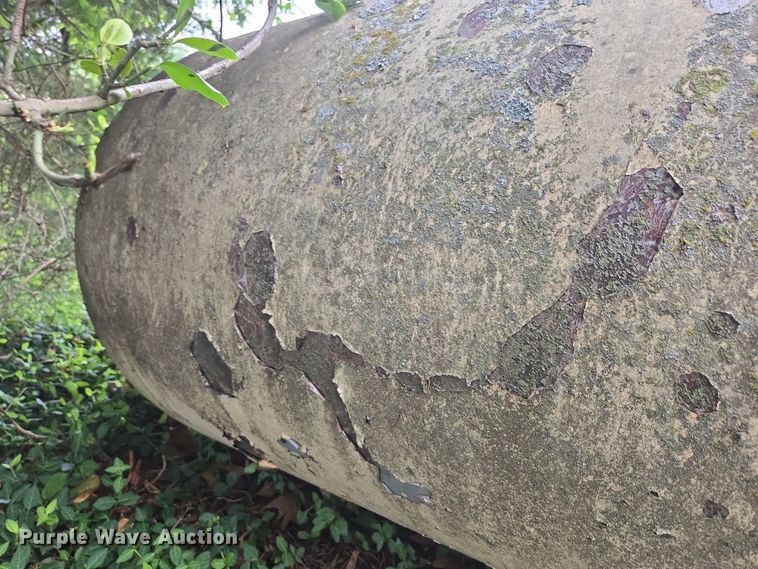 image for item EN3798 (2) propane tanks