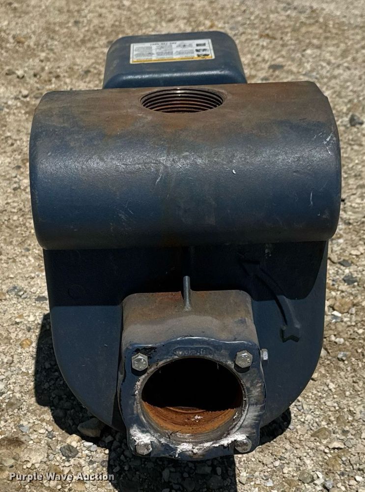 image for item DY0139 Pentair Berkeley LTM-5 irrigation booster pump