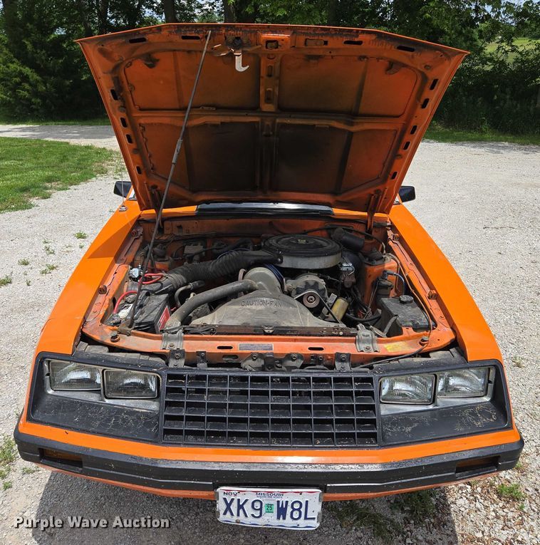 image for item EF1544 1979 Ford Mustang 